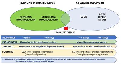 Recurrent and de novo Glomerulonephritis After Kidney Transplantation